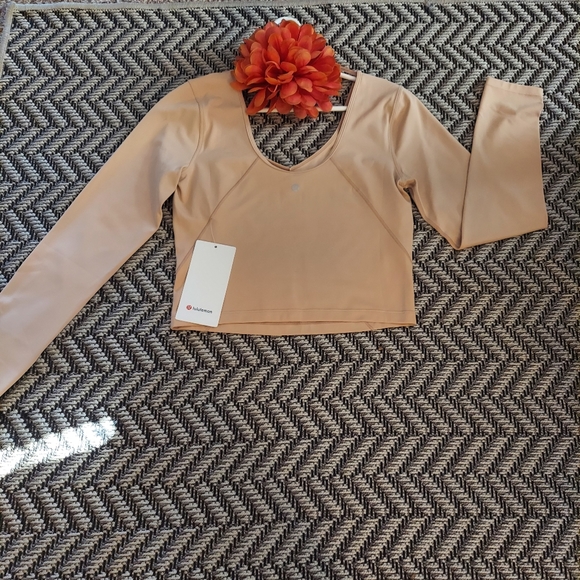 NWT Women's Lululemon Align Long Sleeve Crop Size 8 Color: Contour - Picture 4 of 6